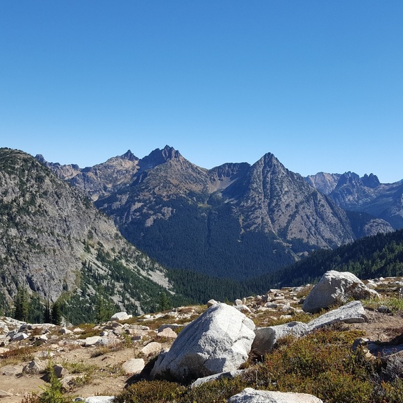 Meet your Posher, Nina - Picture 1 of 1